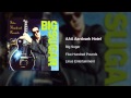 Big Sugar - AAA Aardvark Hotel - Best Playlists Ever Big Sugar - AAA Aardvark Hotel