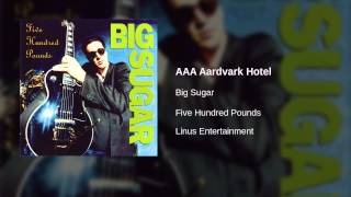 Big Sugar - AAA Aardvark Hotel