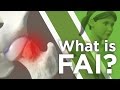 What is FAI?