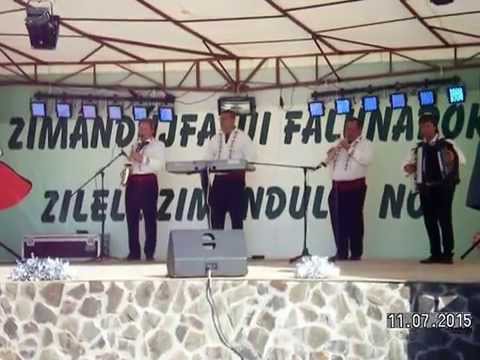 ZILELE ZIMANDULUI NOU - FORMATIA ARMONIA