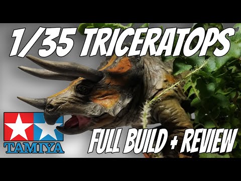 CBD for Cats Video Preview