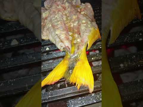 Viviendo Paso de Patria #Paraguay #turismo