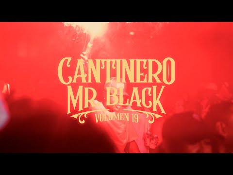 Cantinero – Mr. Black x El Imperio de Cartagena (Video Volumen Animado) La Cantera Vol. 19