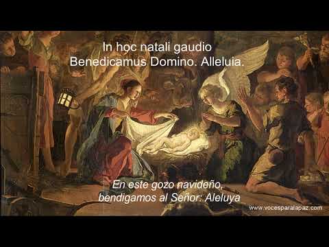 Puer natus in Bethlehem - M. Praetorius.