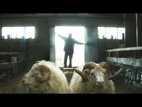Rams (Trailer)