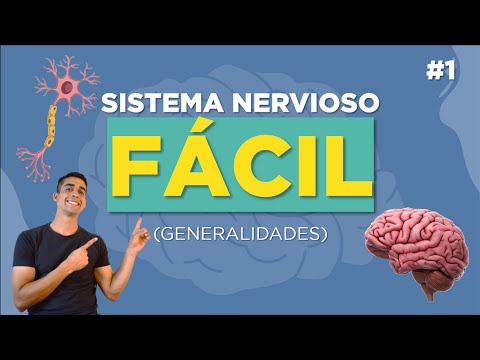 🧠 SISTEMA NERVIOSO CENTRAL Y PERIFÉRICO (Resumen) Simpático y Parasimpático