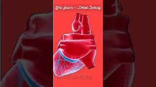 Download lagu Efek Suara - Detak Jantung #Shorts mp3