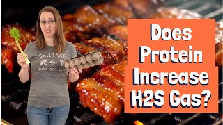 Does Protein Increase H2S Gas?