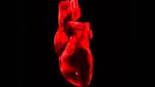 Corazón delator - Soda Stereo (Remasterizado)