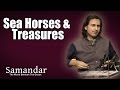 Sea Horses & Treasures - Rahul Sharma (Album: Samandar - The World Beneath The Ocean)