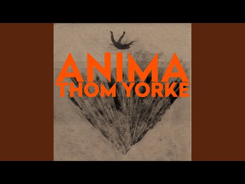 Виниловая пластинка Thom Yorke – Anima 2LP
