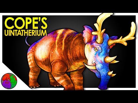 Antlered Elephants and Saber-Toothed Rhinos | Cope’s Uintatherium
