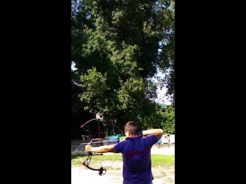 Prova arco compound 70 lb