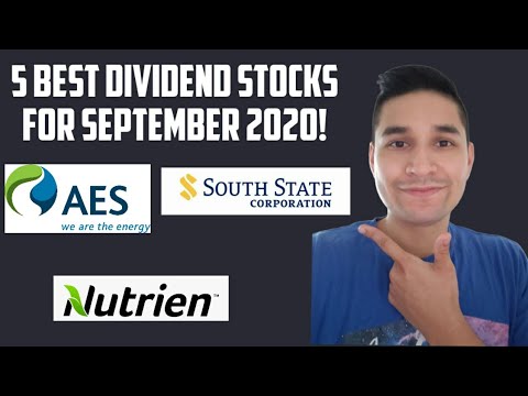 5 Best Dividend Stocks to buy in September 2020!