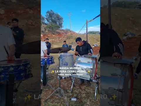 Que bonito toca la Banda en Candelaria la Unión, San Pablo Tijaltepec, Oaxaca #fypシ #viral