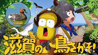 相方がバードウォッチングにハマったので地元で１番有名な鳥を探します！！