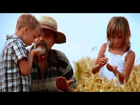 Lead Senate Candidate in Western Australia - Linda Rose