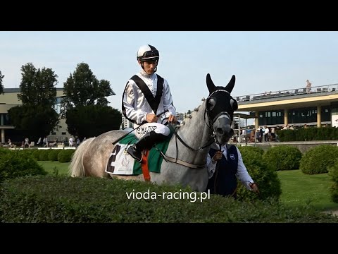 Gon. VII (N. Europy) - 22.08.2021 - Amwaj Al Khalediah (Nashwan Al Khalidiah - Assma Al Khalediah)