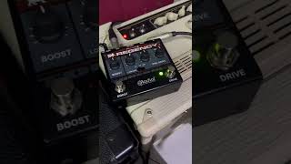Video thumbnail for RADIAL MADE IN CANADA REGENCY by MAESTRO MUSIK
