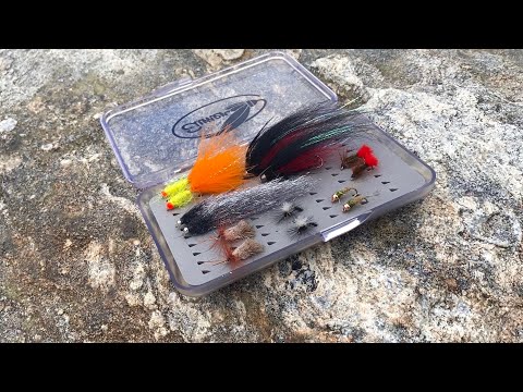 Uusi Perholajitelma - Varmat ottiperhot samassa rasiassa