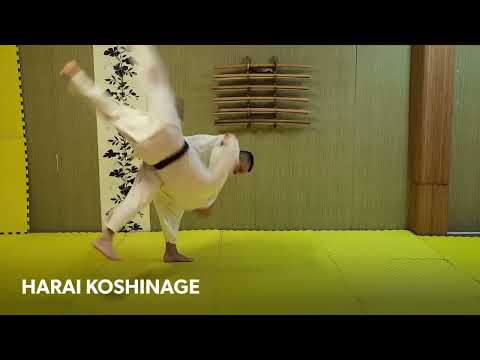 HARAI KOSHINAGE | Randori Nage Waza