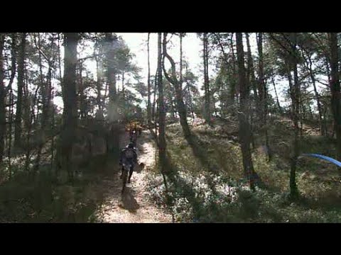 GLD Nieuws 7 maart 2010 - Nieuws