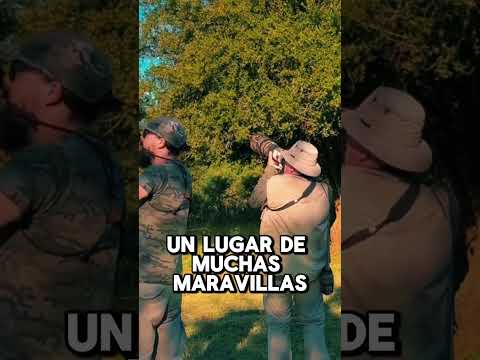 Atardecer en Estancia Río de las Aves