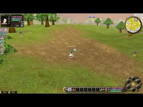 Play - Insanity FlyFF