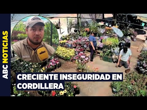 Violento robo en un vivero reaviva reclamo de mayor seguridad en Cordillera