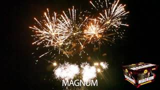 MAGNUM World Class Fireworks by Motor City Fireworks