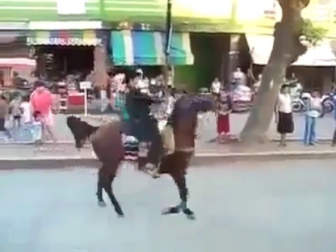 Video Funny Kuda dan penunggangnya Jatuh Terjungkal Ngakak