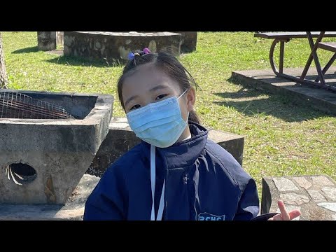 Homescapesgame How To Beat Level 2231~2233 | Gameplay Android 12 Google Playrix Games