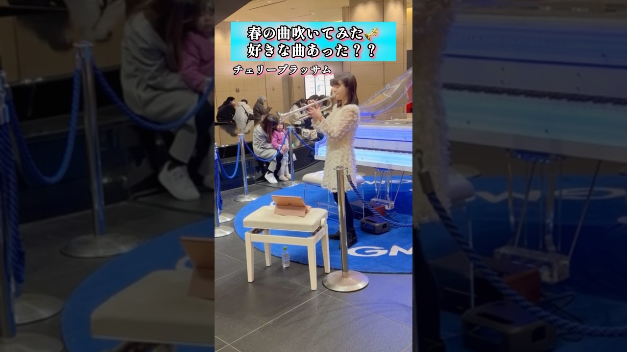 前の動画へ