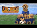 AIR BUD 3 EIN HUND FUR ALLE BALLE GANZER FILM
