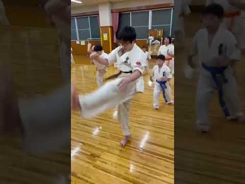 『極真』凄い蹴り！4歳から礼儀正しく#松伏町空手 #kyokushinkarate