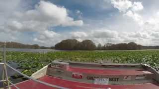 preview picture of video 'Withlacoochee River System Airboat Ride Bushnell Florida'