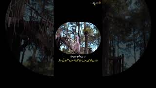 Download lagu Khodijah | Veve Zulfikar | Lyrics | Urdu translation | Ramzan Mubarak mp3 Download lagu Khodijah | Veve Zulfikar | Lyrics | Urdu translation | Ramzan Mubarak mp3