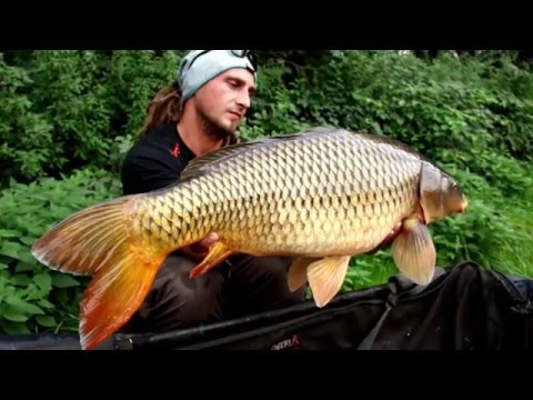 Karpfenangeln Baggersee Fzz (Jöss)- Carp fishing austria