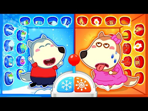 Desafio Quente Vs Frio!❄️🔥 Wolfoo E Lucy Aprendem Regras De Segurança Para Crianças - Pixel Pulse