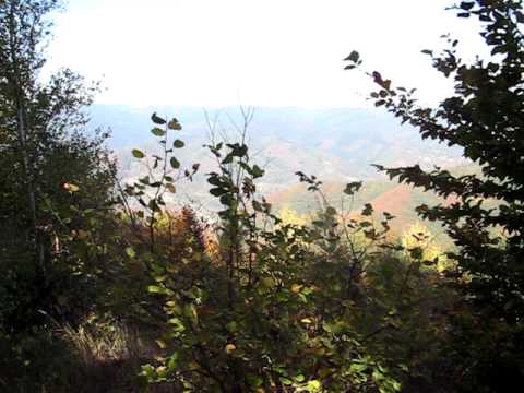 Őszi kilátás a Görgényi-havasok főgerincéről