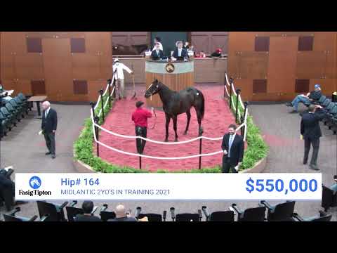 Malibu Moon colt sells for $700,000 at Midlantic Two-Year-Olds in Training (2021 | Hip 164)