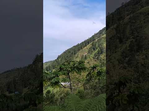 Mirante de N. Sra. Auxiliadora - Sto Antônio Pinhal #passeios #shorts
