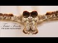 True Facts The Ogre Faced Spider