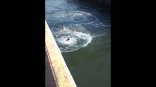 Elyse Jumping off Basin Head Wharf