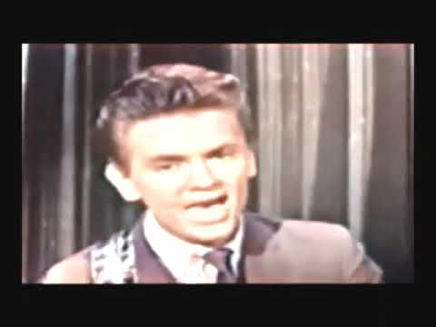 Bye Bye Love  - The Everly Brothers