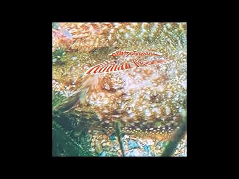 Roman Flügel - Dolphins [MULEMUSIQ283]