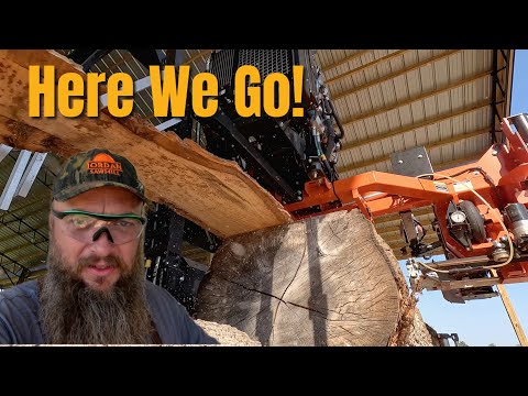 Building My New DREAM Shop