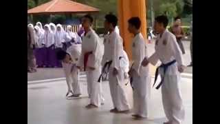 preview picture of video 'International Tea-Kwon Do Federation (ITF) demonstration, MITIB.mp4.mp4'