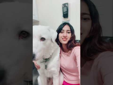 #nazeema #badshah #doglover #petlover