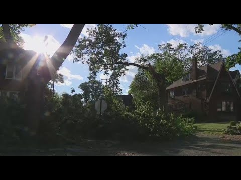 Detroit's University District still waits for power restoration after Monday storms